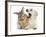 Yellow Labrador Retriever Puppy, 8 Weeks, Yawning in Lionhead Cross Rabbit's Ear-Mark Taylor-Framed Photographic Print