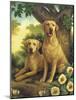 Yellow Labs-Dan Craig-Mounted Giclee Print