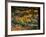 Yellow Leaves of a Sugar Maple, Green Mountains, Vermont, USA-Jerry & Marcy Monkman-Framed Photographic Print