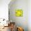 Yellow Lemons-Julija Belickienė-Giclee Print displayed on a wall