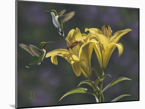 Yellow Lilies-Jeffrey Hoff-Mounted Giclee Print