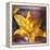 Yellow Lily and Text-Colin Anderson-Framed Premier Image Canvas