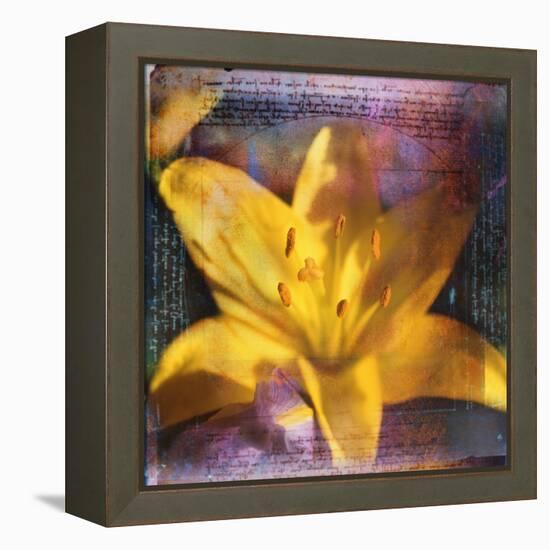 Yellow Lily and Text-Colin Anderson-Framed Premier Image Canvas