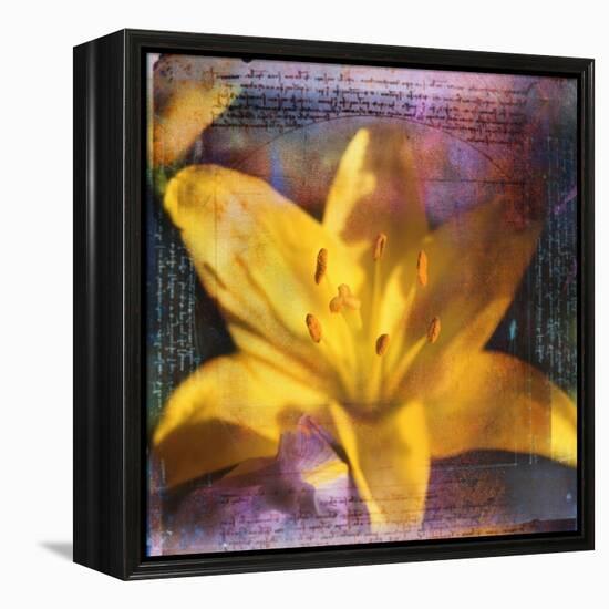 Yellow Lily and Text-Colin Anderson-Framed Premier Image Canvas