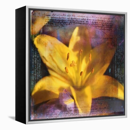 Yellow Lily and Text-Colin Anderson-Framed Premier Image Canvas