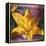 Yellow Lily and Text-Colin Anderson-Framed Premier Image Canvas