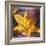 Yellow Lily and Text-Colin Anderson-Framed Photographic Print