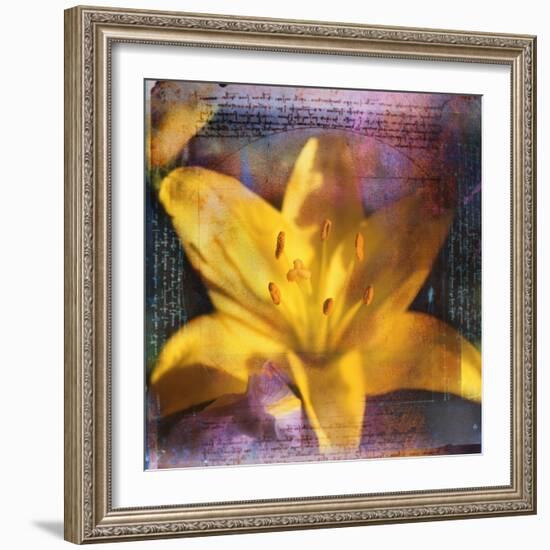 Yellow Lily and Text-Colin Anderson-Framed Photographic Print