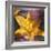 Yellow Lily and Text-Colin Anderson-Framed Photographic Print