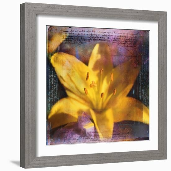 Yellow Lily and Text-Colin Anderson-Framed Photographic Print