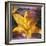 Yellow Lily and Text-Colin Anderson-Framed Photographic Print