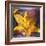 Yellow Lily and Text-Colin Anderson-Framed Photographic Print