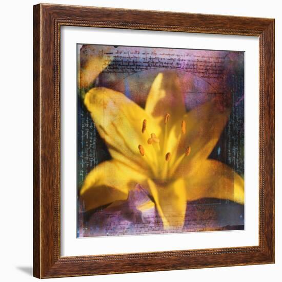 Yellow Lily and Text-Colin Anderson-Framed Photographic Print