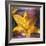 Yellow Lily and Text-Colin Anderson-Framed Photographic Print