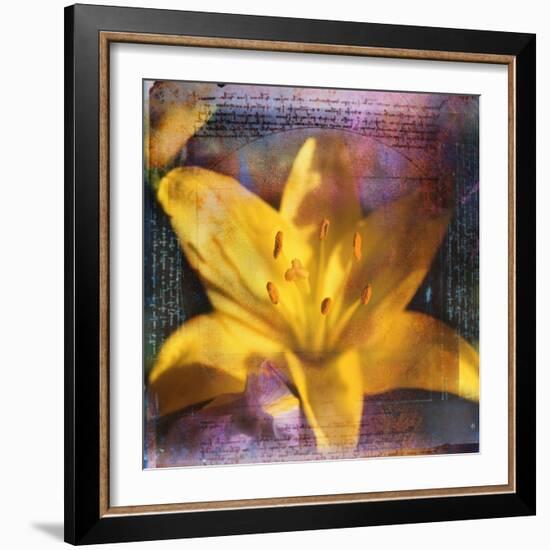 Yellow Lily and Text-Colin Anderson-Framed Photographic Print