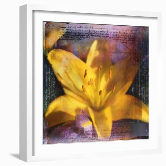 Yellow Lily and Text-Colin Anderson-Framed Photographic Print