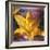 Yellow Lily and Text-Colin Anderson-Framed Photographic Print