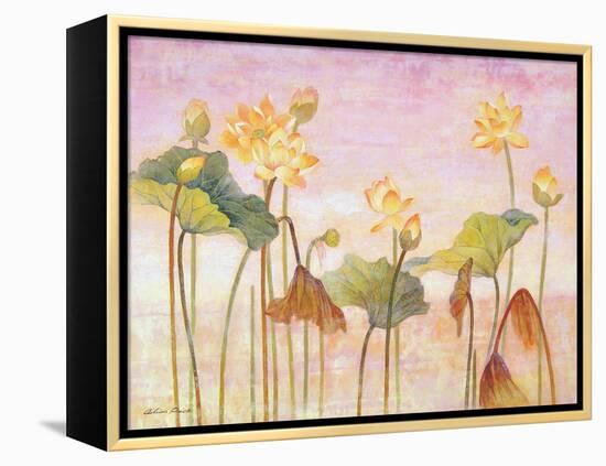 Yellow Lotus-Ailian Price-Framed Stretched Canvas