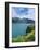 Yellow Lupins Beside Lake Wakatipu, Canterbury, South Island, New Zealand-Neale Clarke-Framed Photographic Print