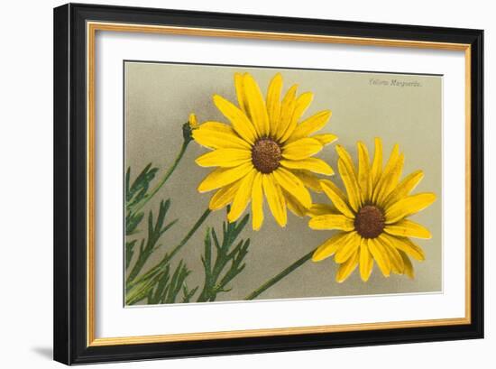 Yellow Marguerite-null-Framed Art Print