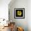 Yellow Marigold-Ike Leahy-Framed Photographic Print displayed on a wall