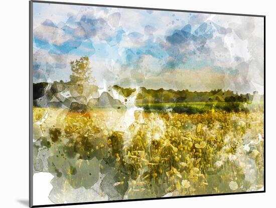 Yellow Meadow-Chamira Young-Mounted Art Print