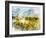 Yellow Meadow-Chamira Young-Framed Art Print