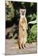 Premium Photographic Print