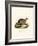 Yellow Mongoose-null-Framed Giclee Print