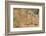 Yellow Mongooses (Cynictis Penicillata) Standing Alert, Kgalagadi National Park, South Africa-Dave Watts-Framed Photographic Print