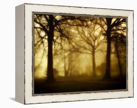 Yellow Morning-Philippe Manguin-Framed Premier Image Canvas