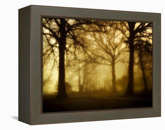 Yellow Morning-Philippe Manguin-Framed Premier Image Canvas