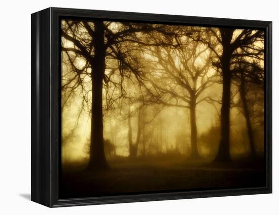 Yellow Morning-Philippe Manguin-Framed Premier Image Canvas