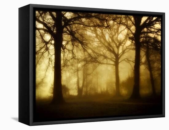 Yellow Morning-Philippe Manguin-Framed Premier Image Canvas