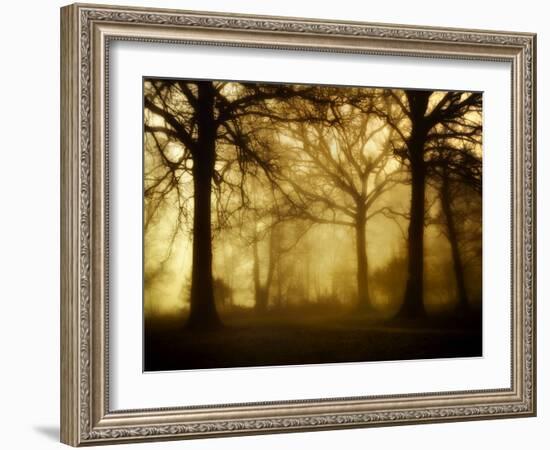 Yellow Morning-Philippe Manguin-Framed Photographic Print