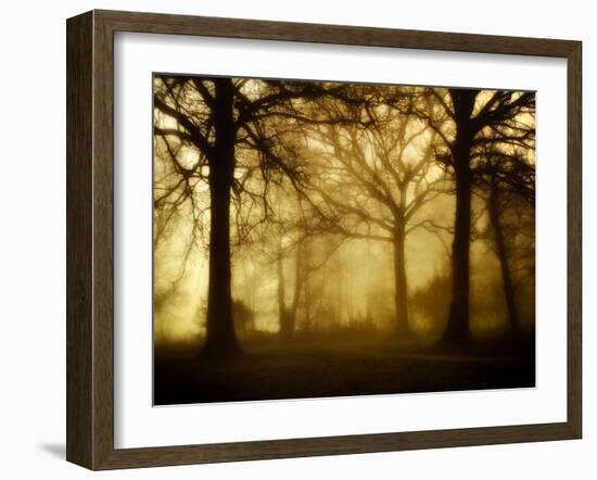 Yellow Morning-Philippe Manguin-Framed Photographic Print