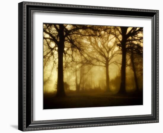 Yellow Morning-Philippe Manguin-Framed Photographic Print