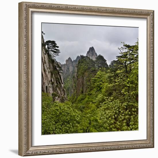 Yellow Mountains a UNESCO World Heritage Site-Darrell Gulin-Framed Photographic Print