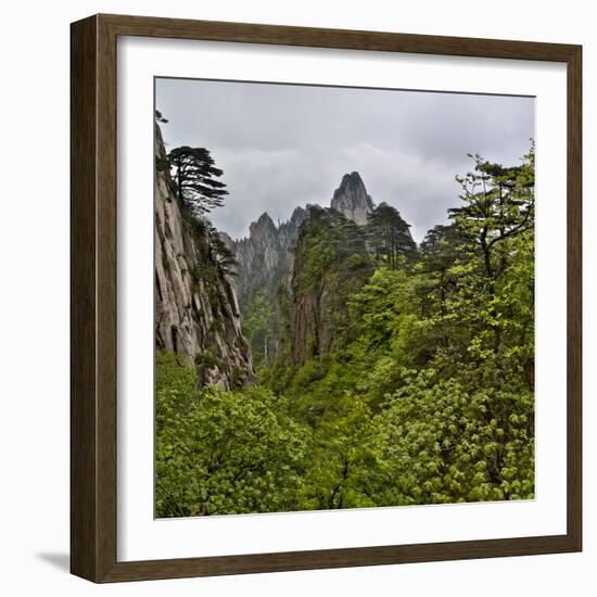 Yellow Mountains a UNESCO World Heritage Site-Darrell Gulin-Framed Photographic Print