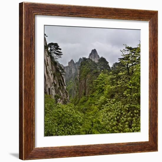 Yellow Mountains a UNESCO World Heritage Site-Darrell Gulin-Framed Photographic Print