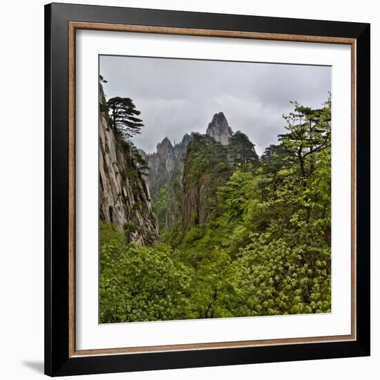 Yellow Mountains a UNESCO World Heritage Site-Darrell Gulin-Framed Photographic Print