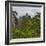 Yellow Mountains a UNESCO World Heritage Site-Darrell Gulin-Framed Photographic Print