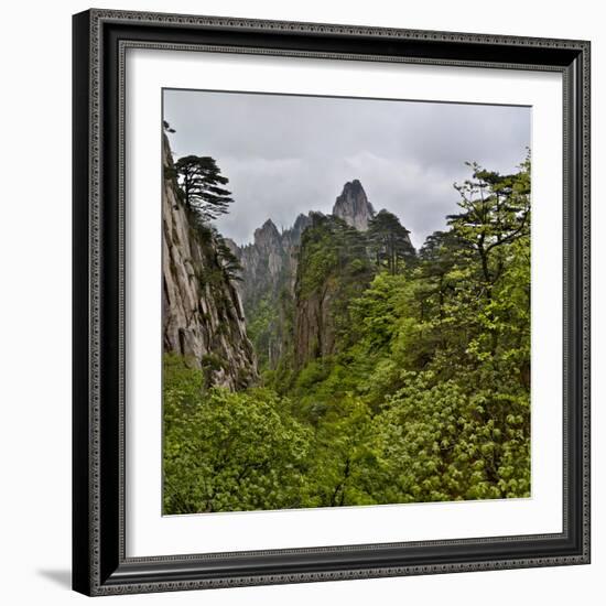 Yellow Mountains a UNESCO World Heritage Site-Darrell Gulin-Framed Photographic Print