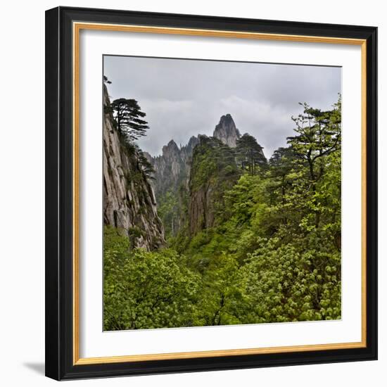 Yellow Mountains a UNESCO World Heritage Site-Darrell Gulin-Framed Photographic Print