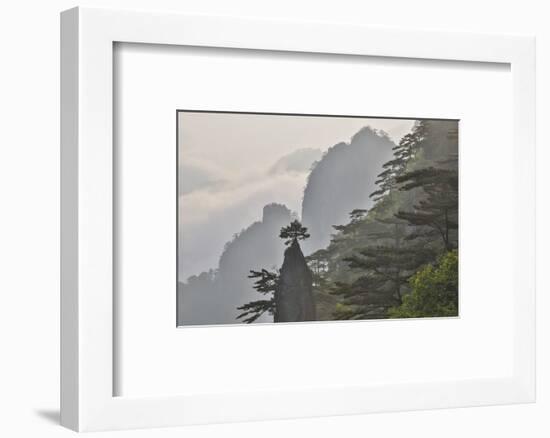 Yellow Mountains a UNESCO World Heritage Site-Darrell Gulin-Framed Photographic Print