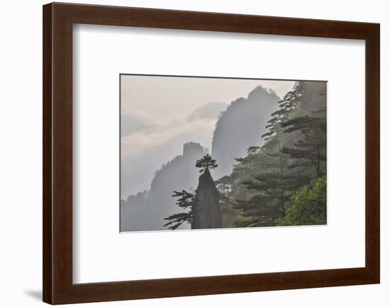 Yellow Mountains a UNESCO World Heritage Site-Darrell Gulin-Framed Photographic Print