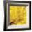 Yellow Mum 2-Jenny Kraft-Framed Art Print