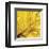 Yellow Mum 2-Jenny Kraft-Framed Art Print