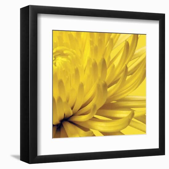 Yellow Mum 2-Jenny Kraft-Framed Art Print