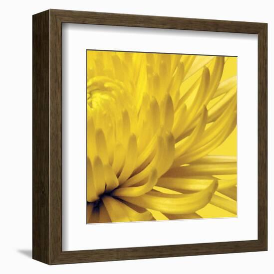 Yellow Mum 2-Jenny Kraft-Framed Art Print